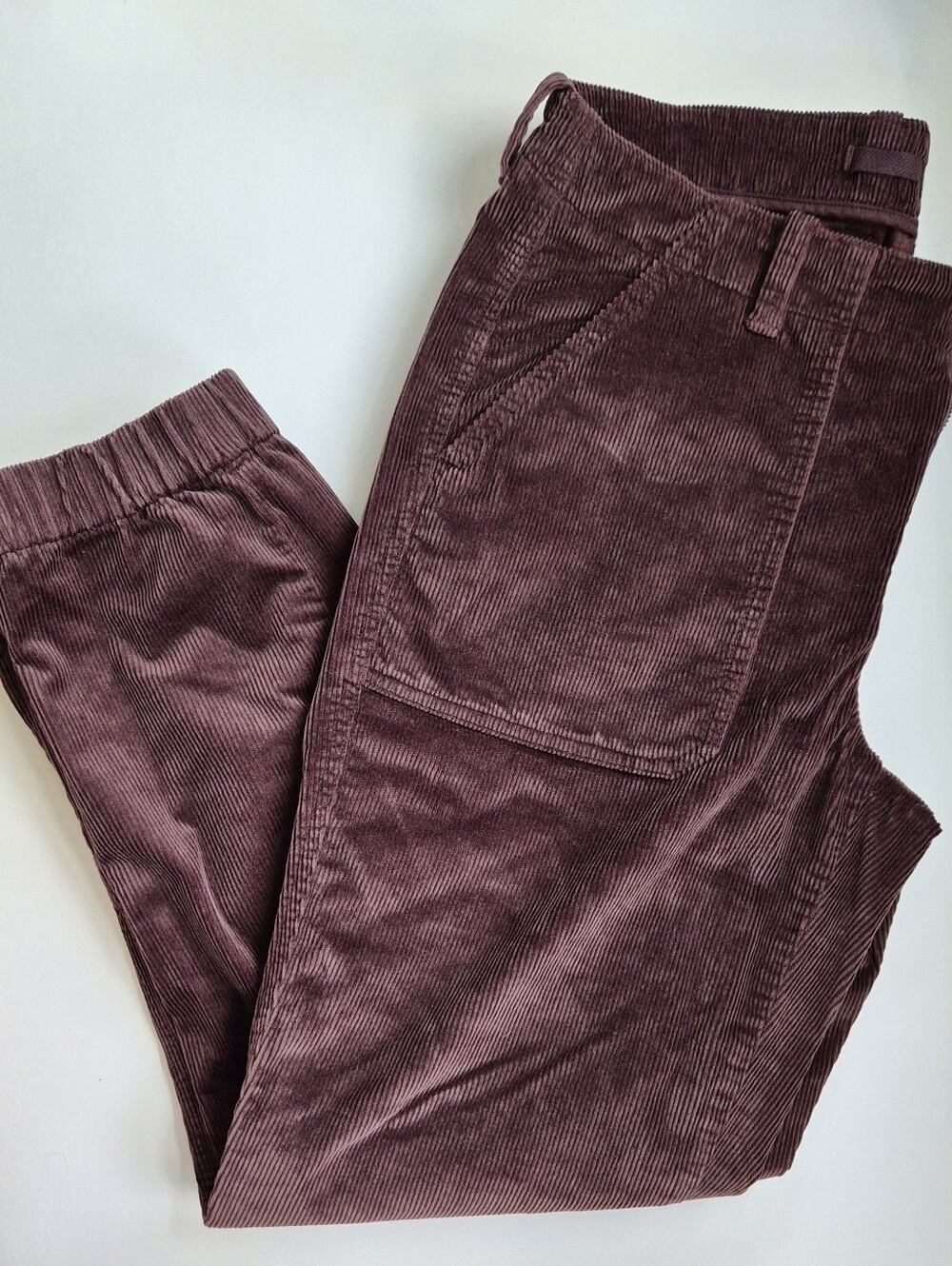 BANANA REPUBLIC Women’s Corduroy Jogger Pants W/Ankle Zippers - Chocolate Brown